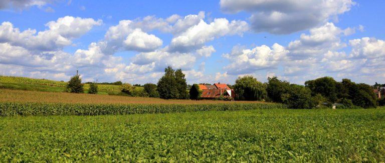 Le Comité Braine Autrement a obtenu gain de cause auprès du Conseil d’Etat