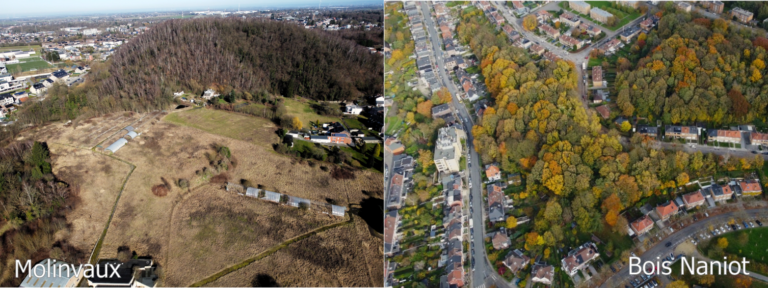 Comité de quartier Molinvaux-Naniot (Liège)
