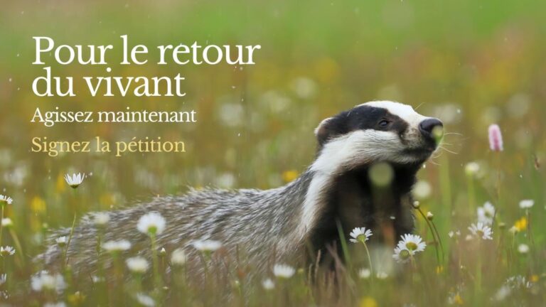 Belgique – Pour le retour du vivant: signez la pétition!